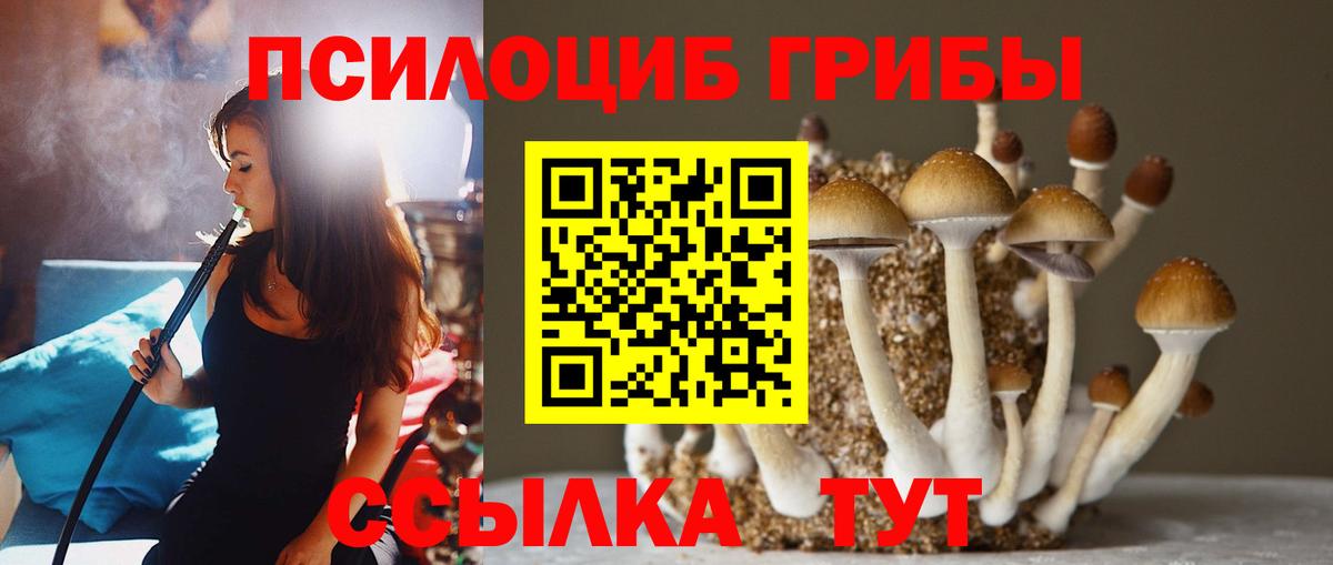 Галлюциногенные грибы ЛСД Кировск