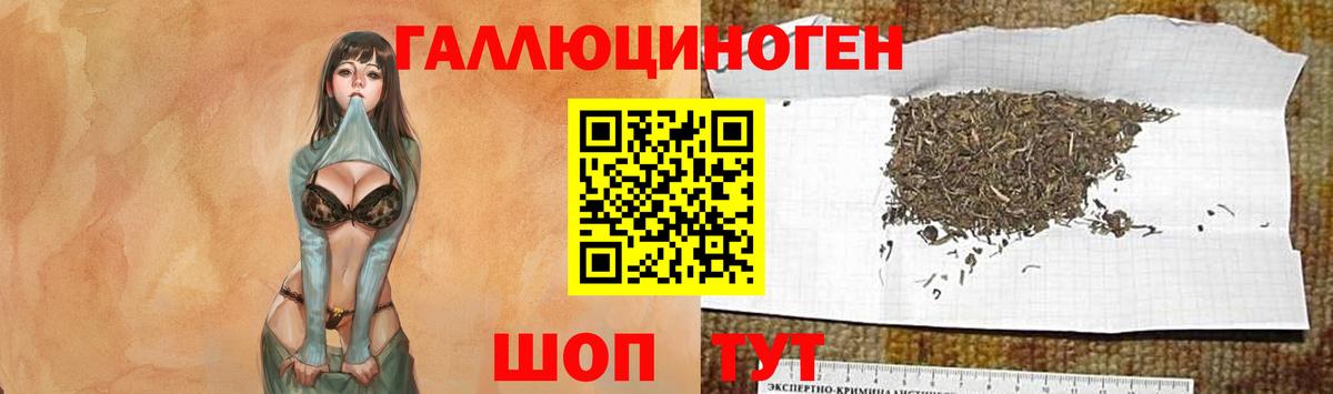Кировск  Галлюциногенные грибы Cubensis  Вход с VPN  Галлюциногенные грибы ЛСД 