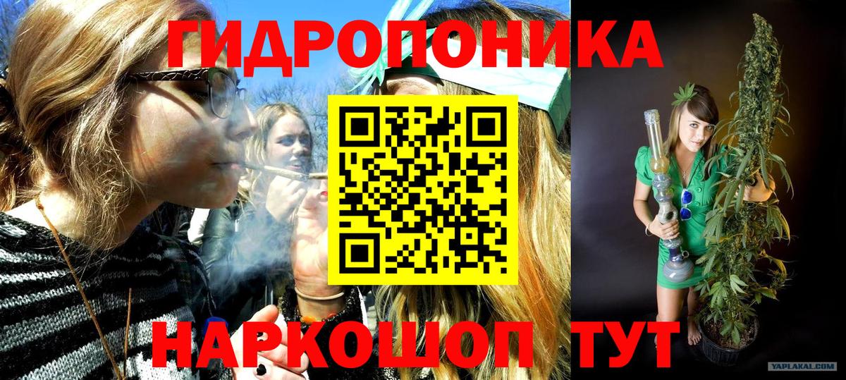 Канабис план  Канабис сатива  Вход с VPN  Конопля THC 21%  Кировск 
